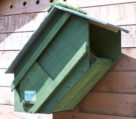 Forest Green Tawny Owl Box - The Owl Box