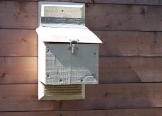 Welcome to the Owlbox | Barn Owl Boxes | Tawny Owl Boxes | Little Owl ...