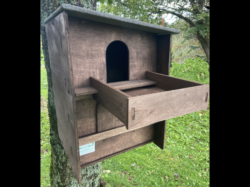 new-barn-owl-box-dark-brown-with-shelf-the-owl-box